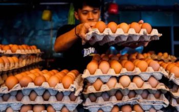 Harga Cabai, Telur Ayam, dan Beras Terpantau di PIHPS Nasional.