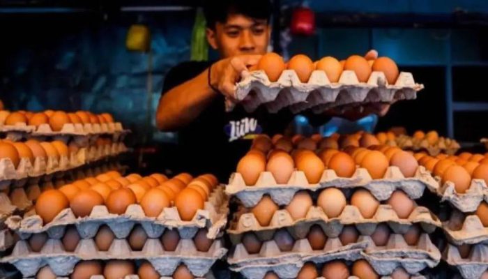 Harga Cabai, Telur Ayam, dan Beras Terpantau di PIHPS Nasional.