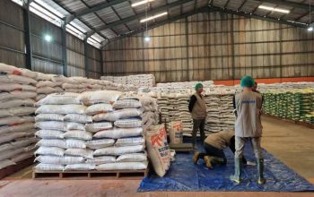 Pemerintah Percepat Pembangunan 100 Gudang Bulog Serap Gabah dan Jagung Petani.