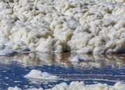 Judul tidak ditemukFenomena Busa Putih Warnai Laut Suramadu, DLH Surabaya Beberkan Penyebabnyaan