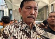 Luhut Blak-blakan soal Polemik Bandara IMIP: untuk Domestik, Tidak Perlu Imigrasi