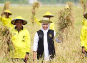 Antisipasi Kemarau 2026, Khofifah Instruksikan Kepala Daerah Jaga Produksi Pertanian Jatim