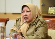 DPR Dorong Pembentukan Dewan Advokat Nasional, Pengawasan Profesi Diperkuat