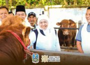 Gubernur Khofifah Pastikan Kesiapan Hewan Kurban Idul Adha 1447 H, Ternak Surplus dan Sehat