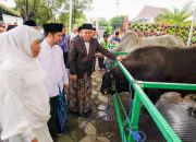 Khofifah dan Emil Dardak Salat Idul Adha di Masjid Al Akbar, Sapi Kurban Presiden Prabowo Jadi Perhatian Jamaah