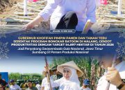 Gubernur Khofifah Pimpin Panen dan Tanam Tebu Serentak, Jatim Targetkan 54.897 Hektare Program Bongkar Ratoon 2026