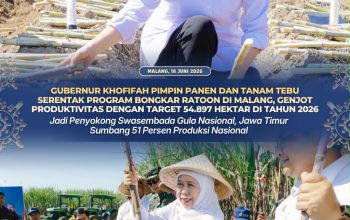 Gubernur Khofifah Pimpin Panen dan Tanam Tebu Serentak, Jatim Targetkan 54.897 Hektare Program Bongkar Ratoon 2026