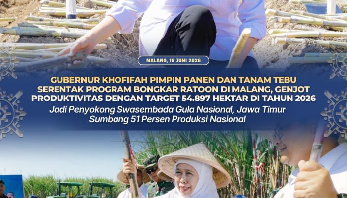 Gubernur Khofifah Pimpin Panen dan Tanam Tebu Serentak, Jatim Targetkan 54.897 Hektare Program Bongkar Ratoon 2026