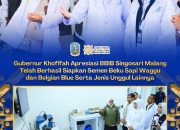 Gubernur Khofifah Apresiasi BBIB Singosari Kembangkan Semen Beku Wagyu dan Belgian Blue, Optimistis Indonesia Swasembada Daging Tiga Tahun