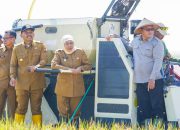 Potensi Produksi Padi Jatim Januari–Juli 2026 Tertinggi Nasional Capai 7,71 Juta Ton GKG, Gubernur Khofifah: Bukti Ketangguhan Petani dan Kuatnya Ekosistem Pertanian