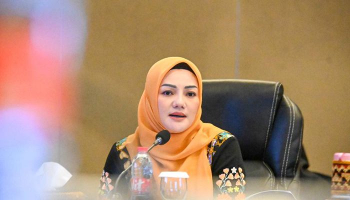 Adde Rosi: Parlemen Sensitif Gender Harus Mampu Wujudkan Kesetaraan dan Inklusivitas