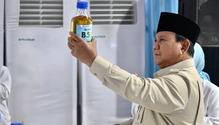 Prabowo Ungkap Potensi Cadangan Emas Raksasa di Pegunungan Papua, BRIN Pimpin Eksplorasi