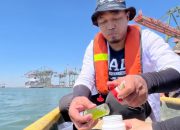 TTL Gandeng BRIN Petakan Biota Laut Teluk Lamong, Perkuat Implementasi ESG dan Pelestarian Ekosistem Pesisir
