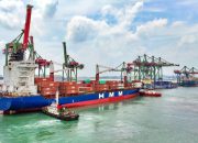 TTL Catat Rekor Throughput Petikemas 1,75 Juta TEUs hingga Juli 2026