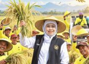Di Hari Tani Nasional 2026, Gubernur Khofifah Apresiasi Petani Jatim sebagai Penjaga Lumbung Pangan Indonesia