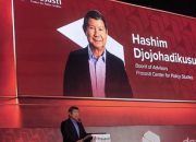 Hashim Sebut Biofuel B50–B100 Gunakan 12,7 Juta Hektare Hutan Rusak, Greenpeace Pertanyakan Lokas
