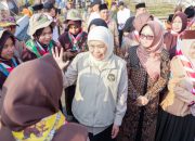 Gubernur Khofifah Tanam 1.000 Pohon di Pesantren An Nur 2 Malang Bersama Santri Pramuka PPSN VI 2026, Gelorakan Semangat Cinta Lingkungan dan Sedekah Oksigen